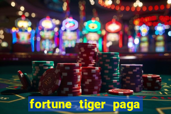 fortune tiger paga de madrugada